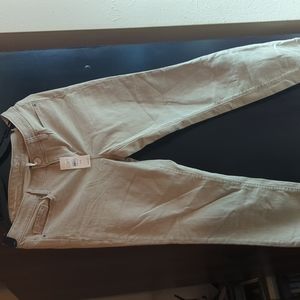 Ann Taylor Loft Jeans
